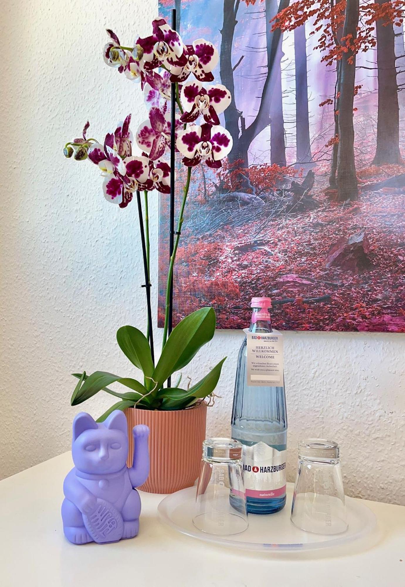 Berghotel Hohegeiß 외부 사진